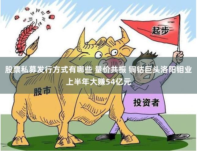 股票私募发行方式有哪些 量价共振 铜钴巨头洛阳钼业上半年大赚54亿元