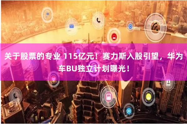 关于股票的专业 115亿元！赛力斯入股引望，华为车BU独立计划曝光！