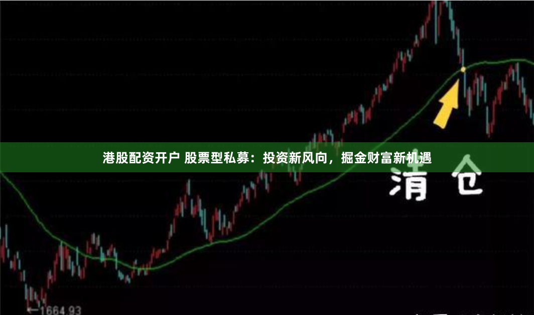 港股配资开户 股票型私募：投资新风向，掘金财富新机遇