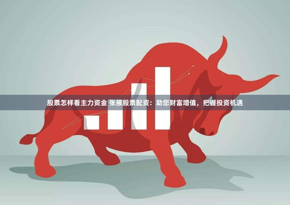 股票怎样看主力资金 张掖股票配资：助您财富增值，把握投资机遇