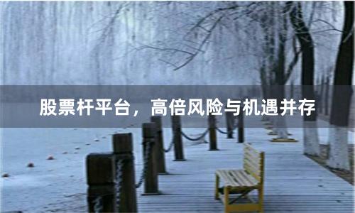股票杆平台，高倍风险与机遇并存